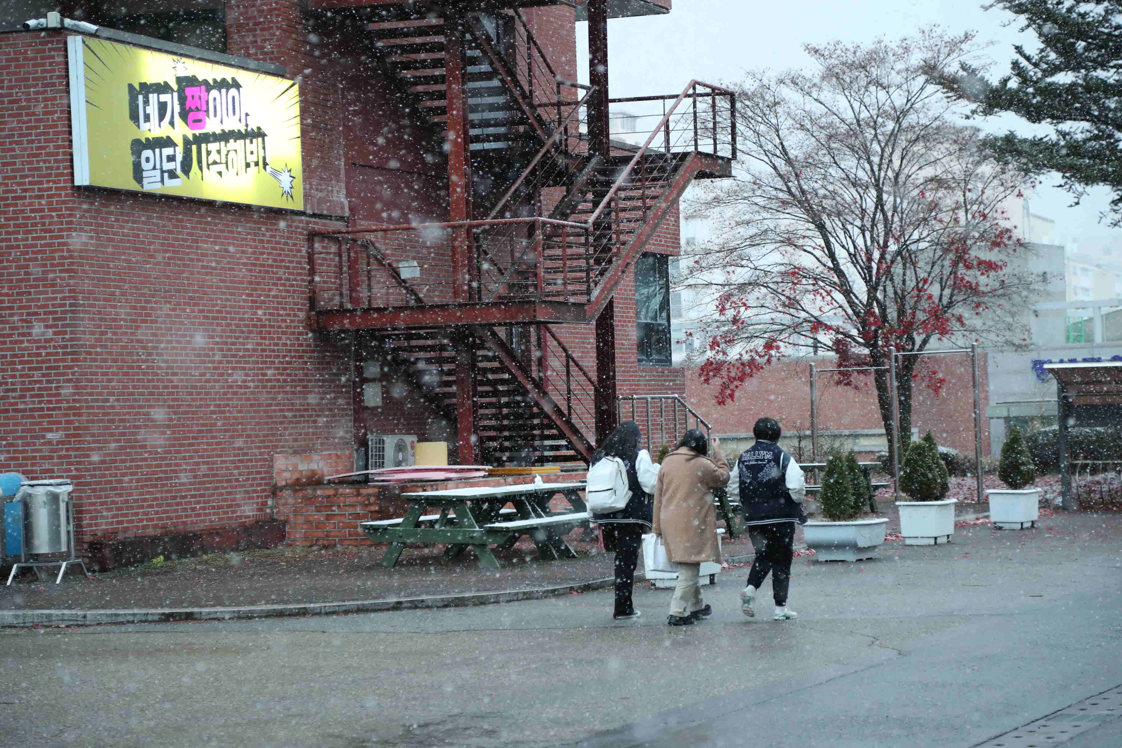2024년 한림성심대학교의 겨울