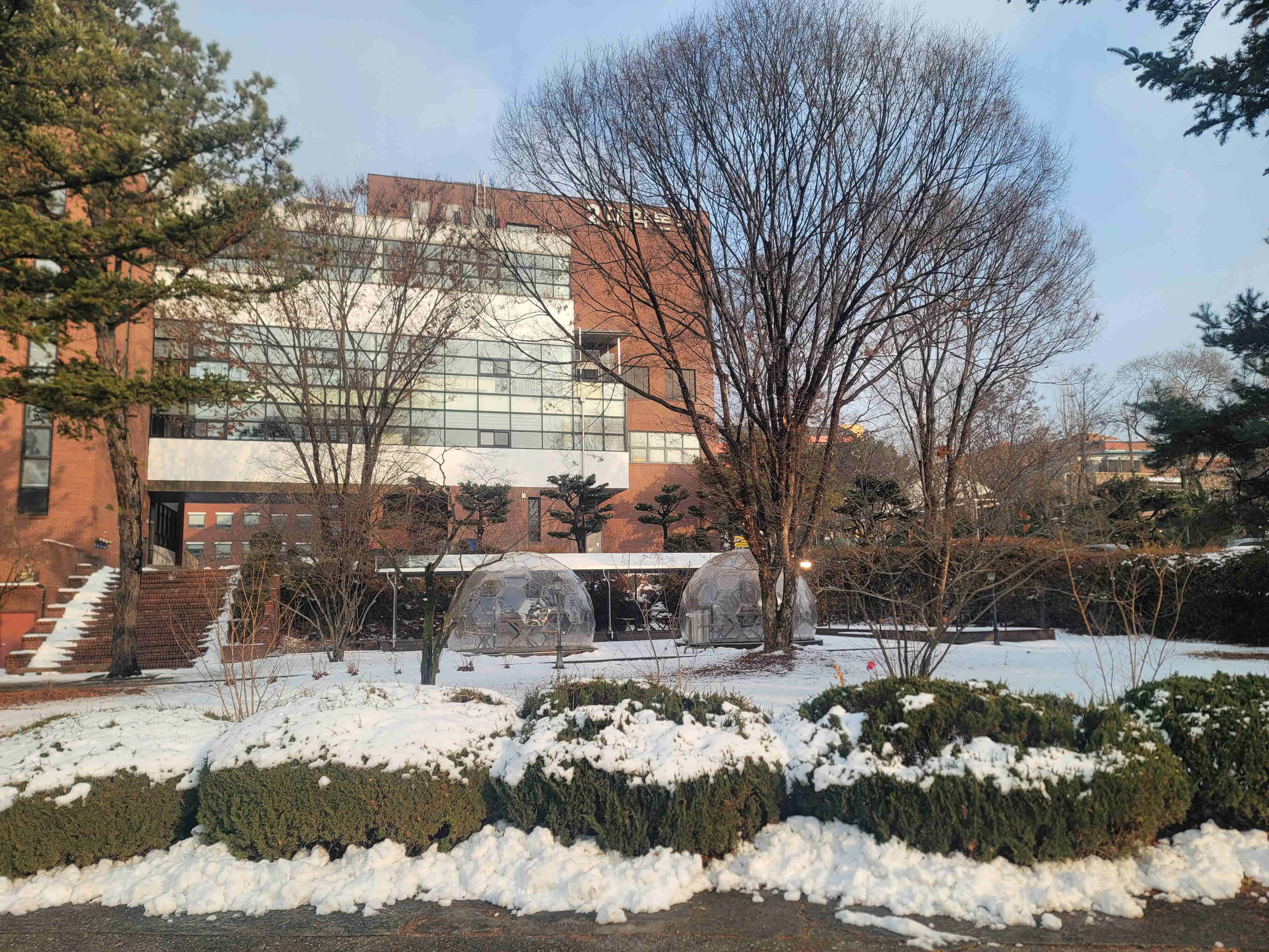 2024년 한림성심대학교의 겨울