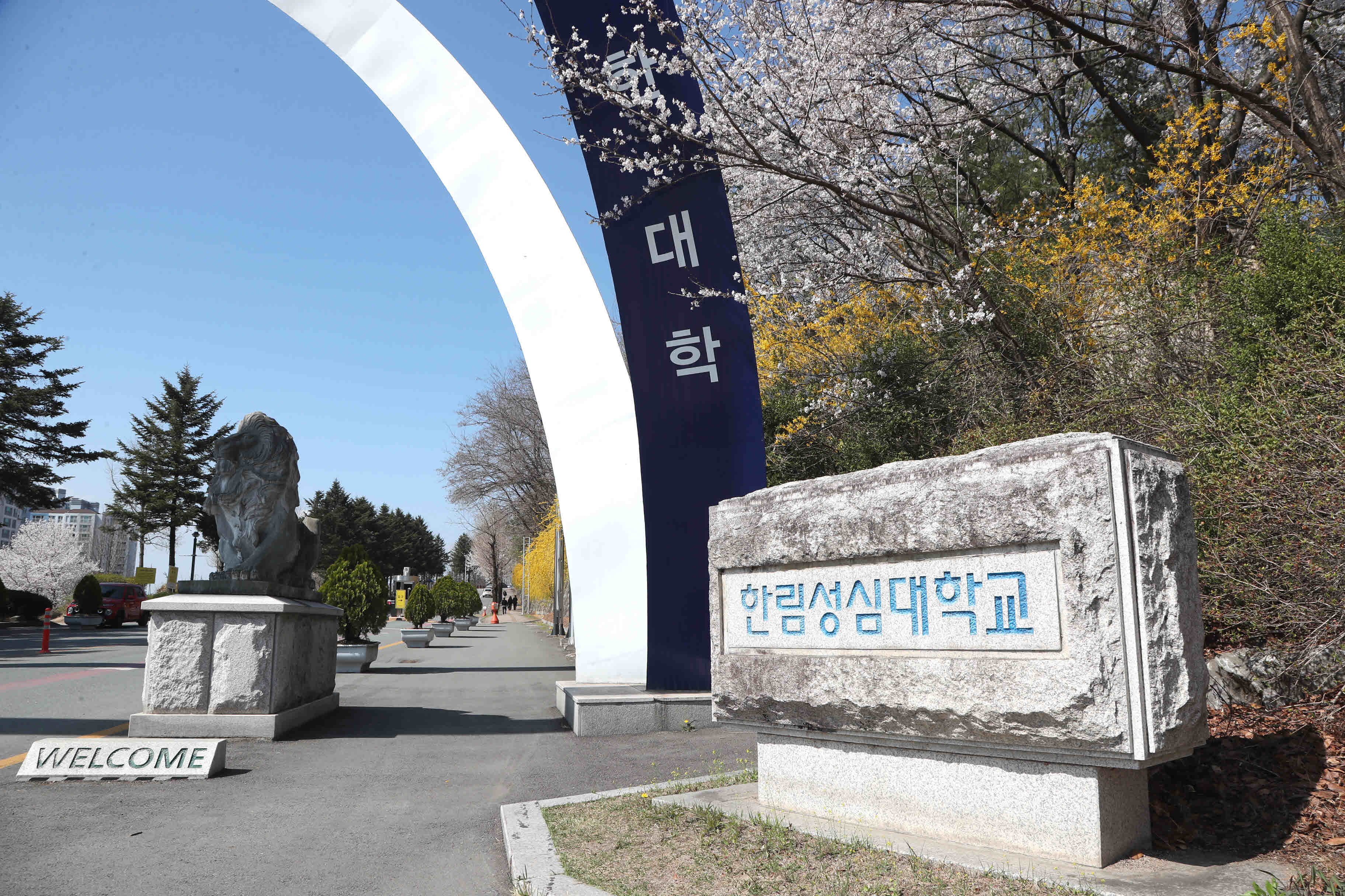 2025년 한림성심대학교의 봄