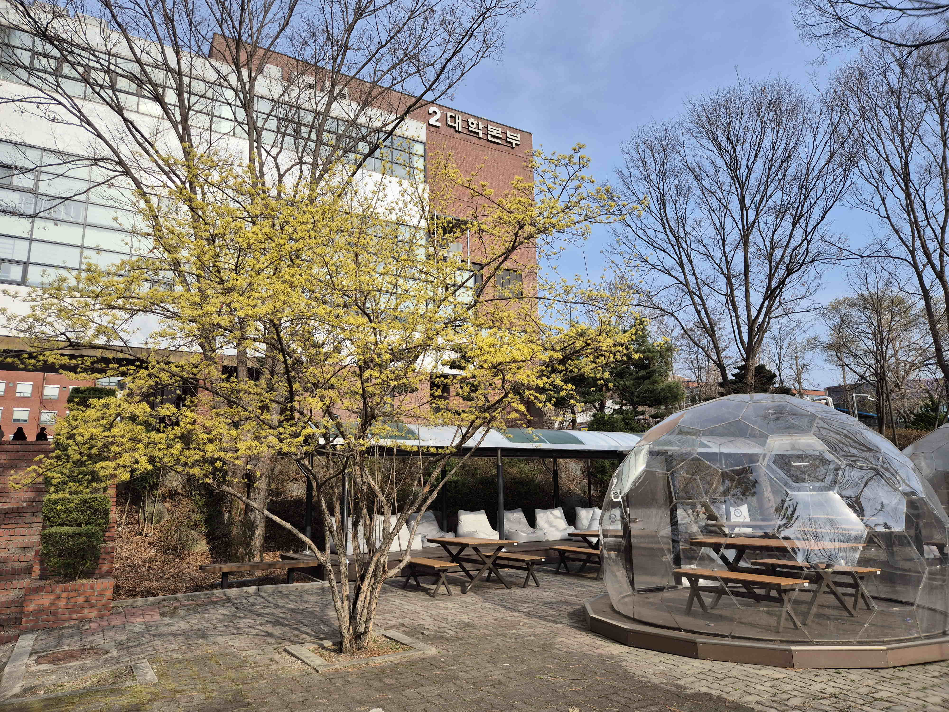 2025년 한림성심대학교의 봄