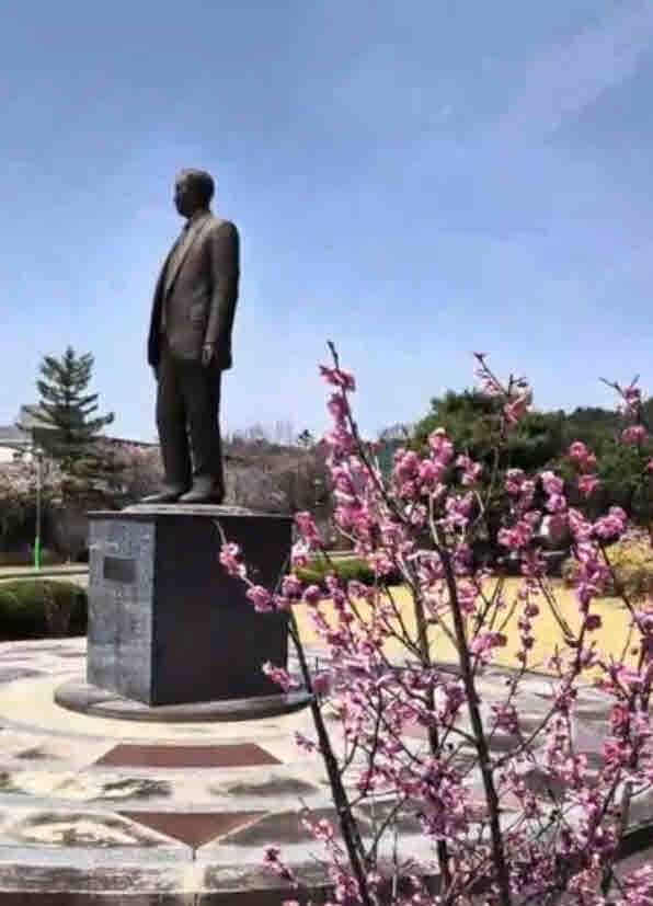 2025년 한림성심대학교의 봄