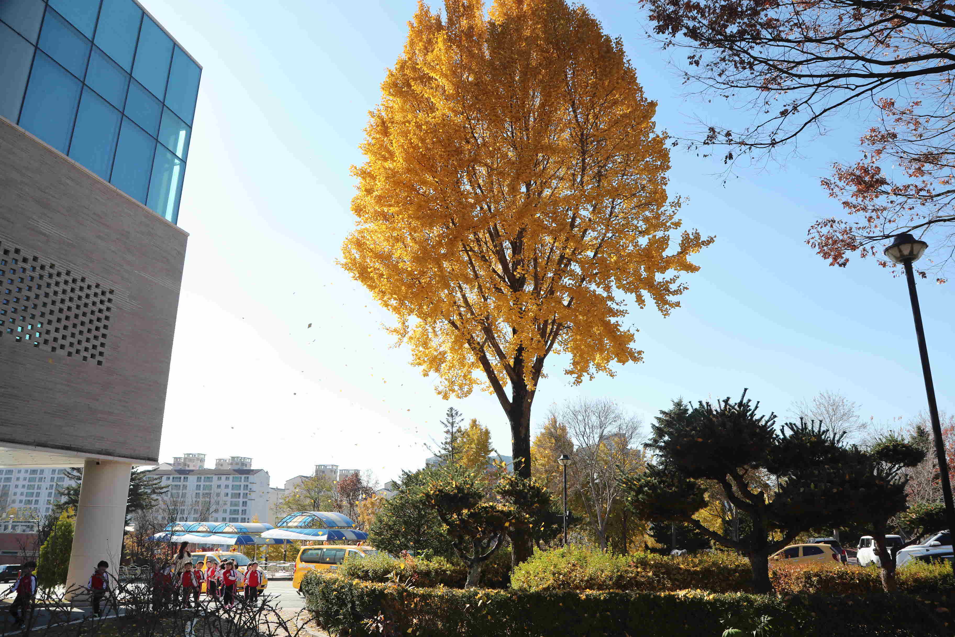 2025년 한림성심대학교의 가을