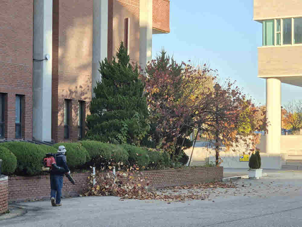 2025년 한림성심대학교의 가을