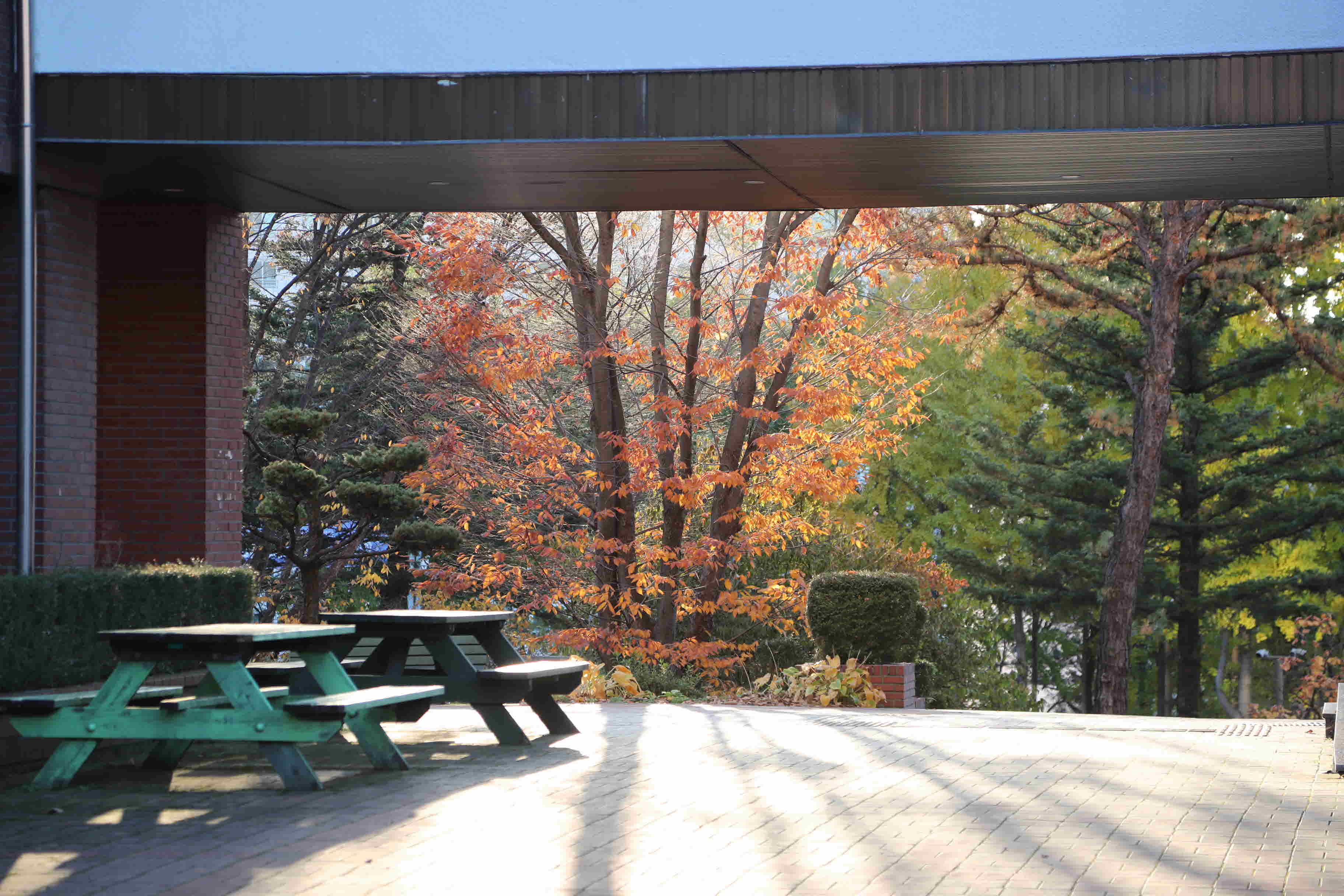 2025년 한림성심대학교의 가을