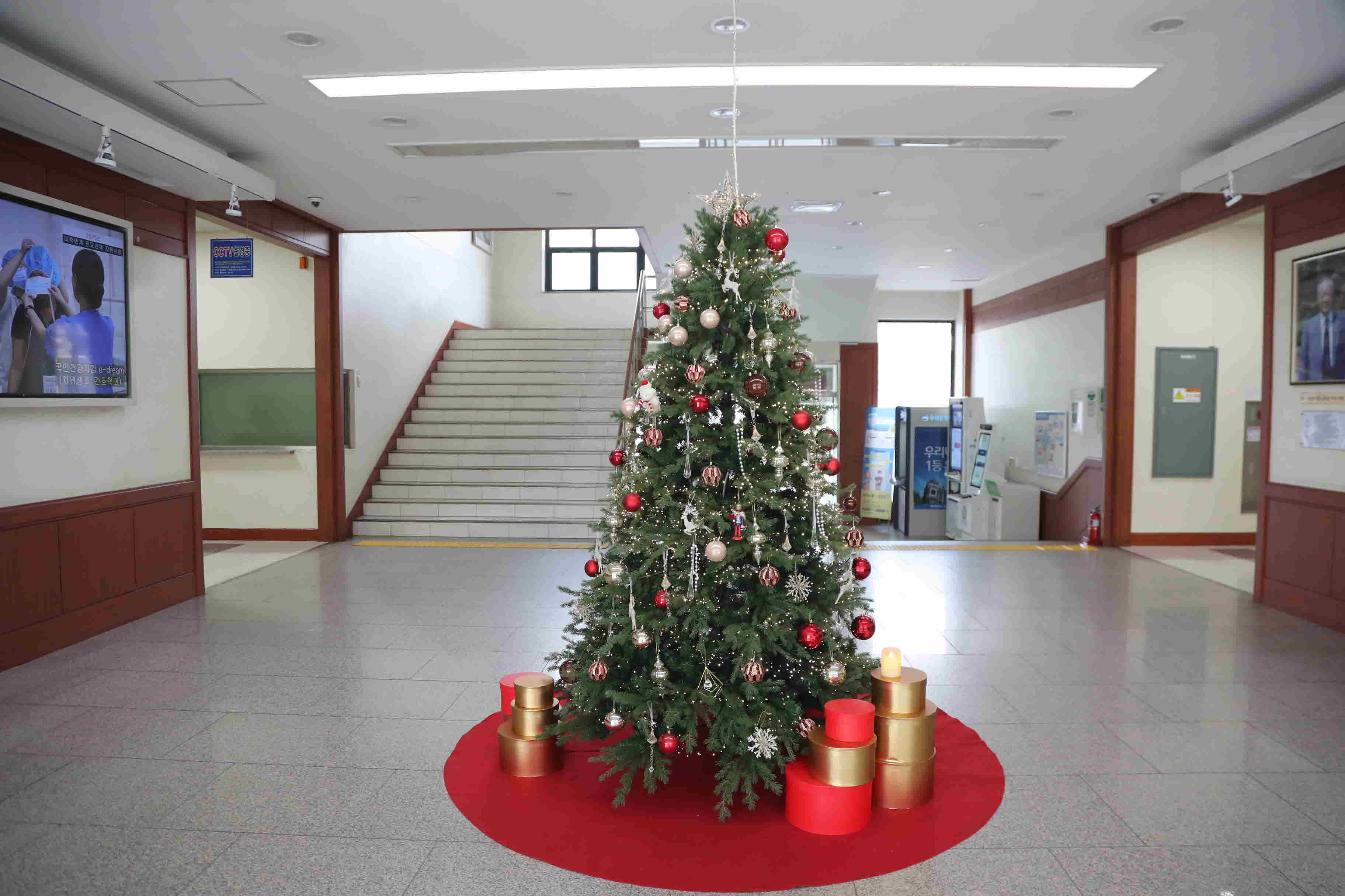 2025년 본관 1층 크리스마스 트리 설치